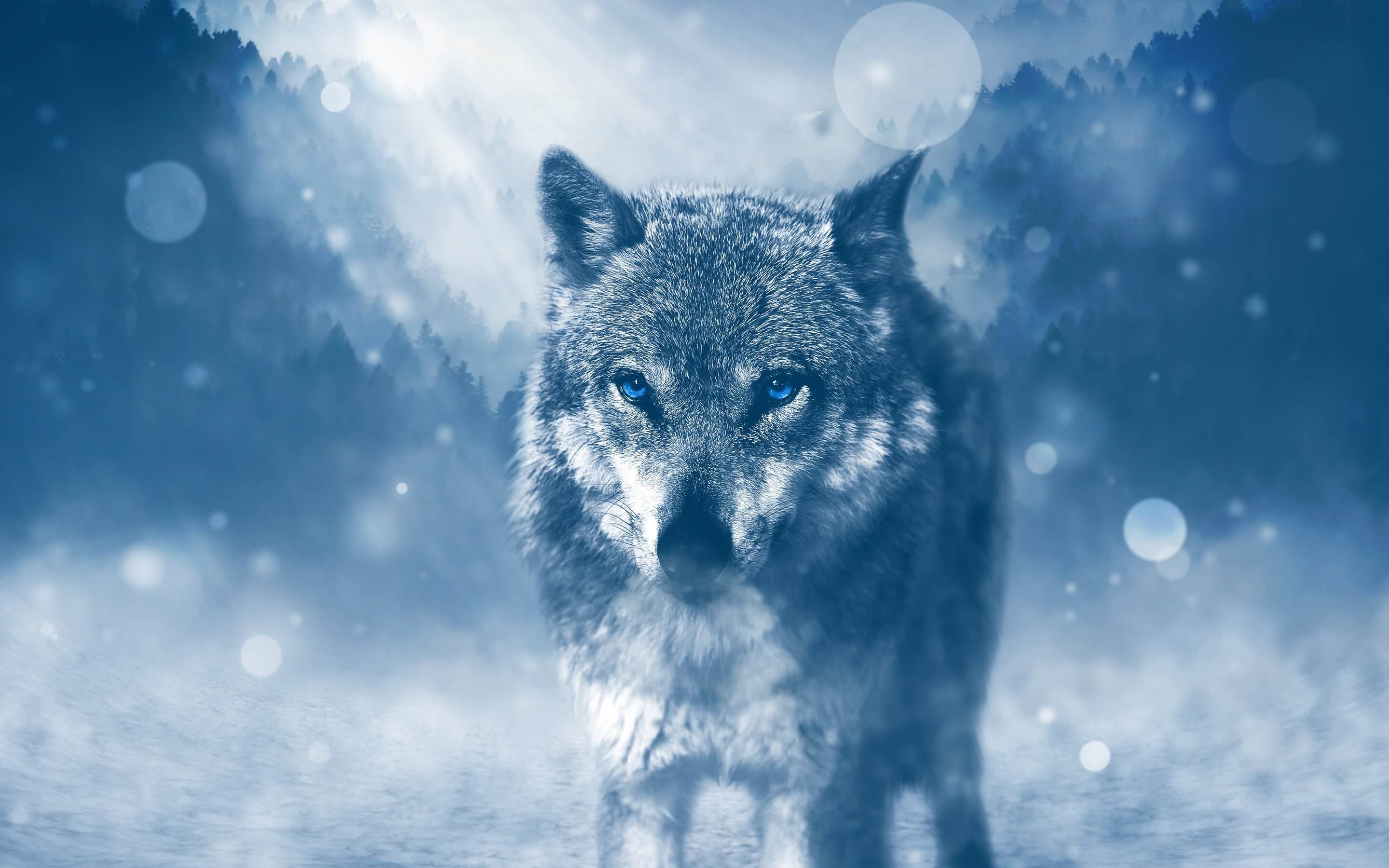 Downloads :: Wolf Downloads