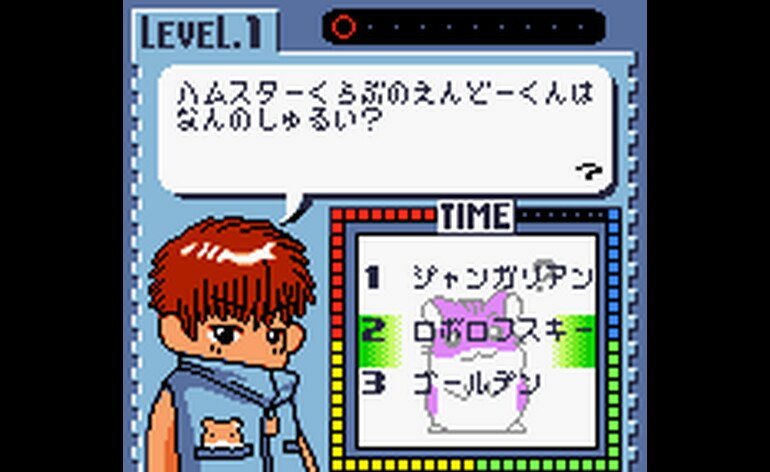 Play Hamster Club - Oshiema Chuu (Japan) • Game Boy Color GamePhD