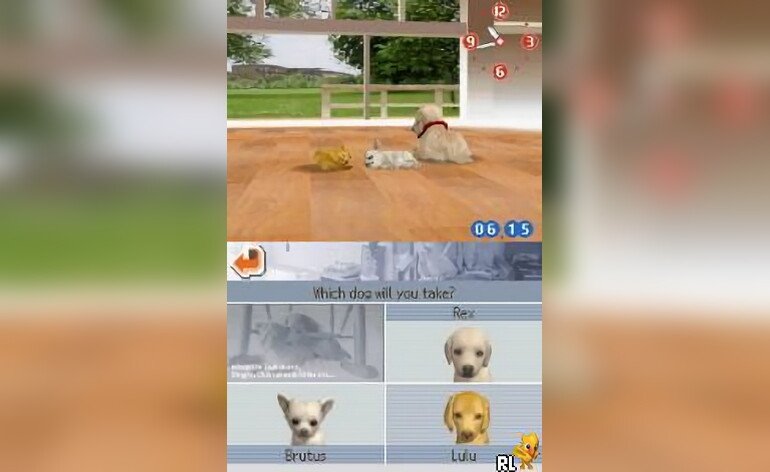 Nintendogs sales online free