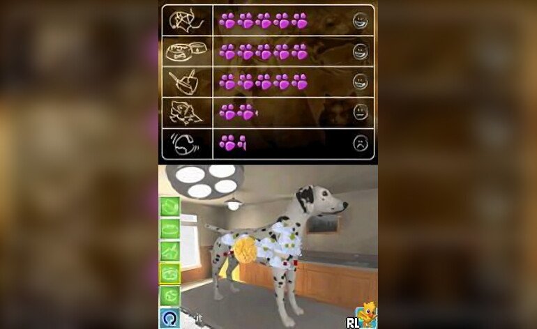 Pet Pals Animal Doctor DS Game