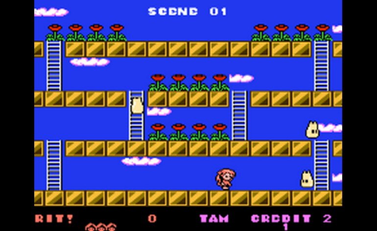 Play Super Mario Bros. 2 (USA) (Rev A) [Hack by Recovery1 v1.0] (~Super  Mario Bros. 2 - 2nd Run) • NES GamePhD